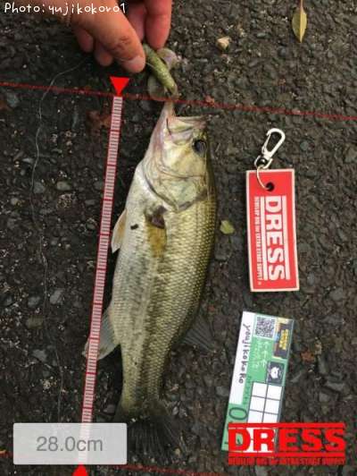 �֥�å��Х�