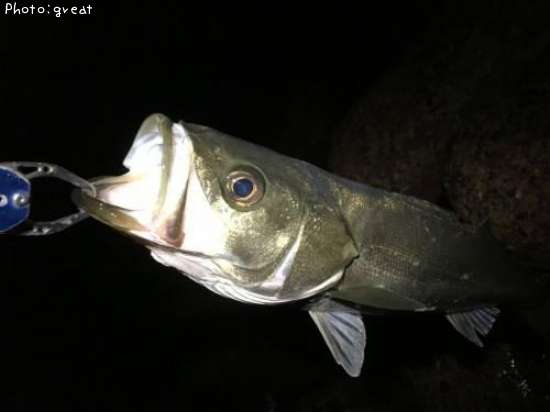 �����Х�