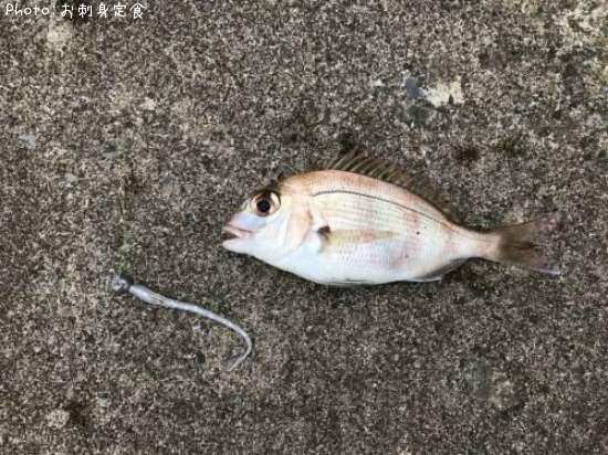 �������ʥ���ꥳ��