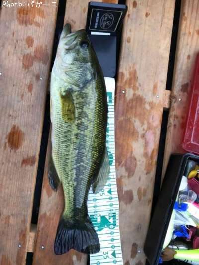 �֥�å��Х�