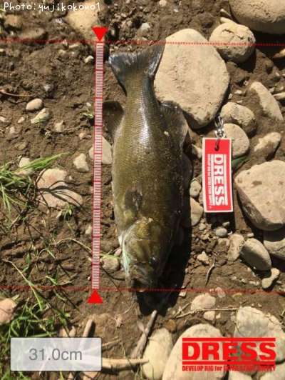 �֥�å��Х�