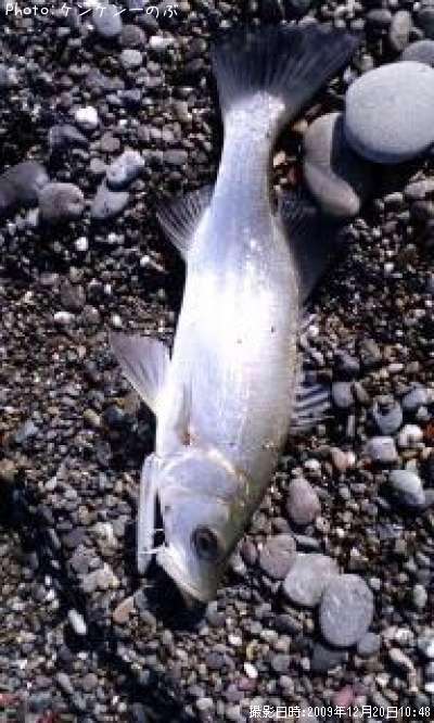 �ҥ饹����