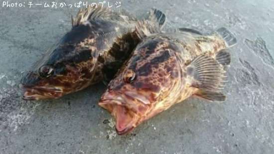 �����Υ���Х�