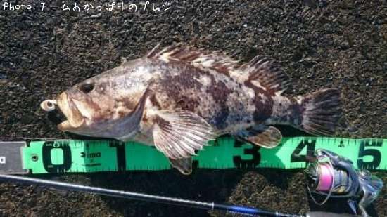 �����Υ���Х�