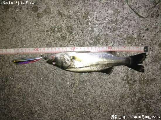 �����Х�