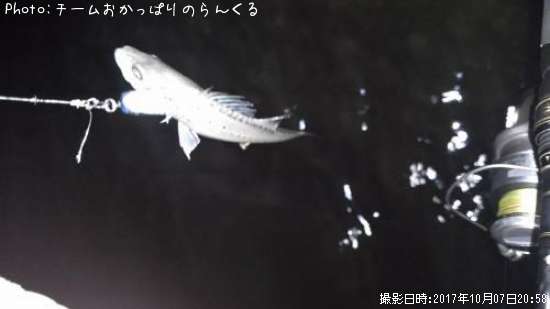 �����Х�