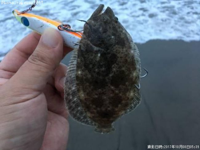 �ҥ��ʥ�����