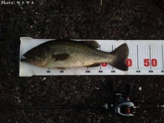 �֥�å��Х�