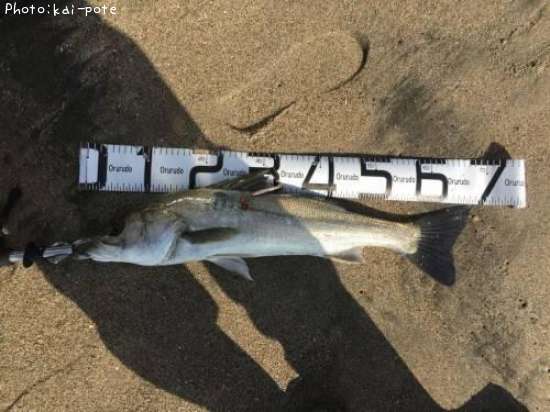 �����Х�