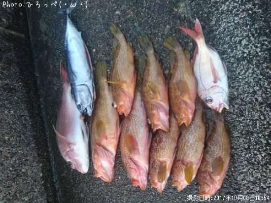 �����ϥ�