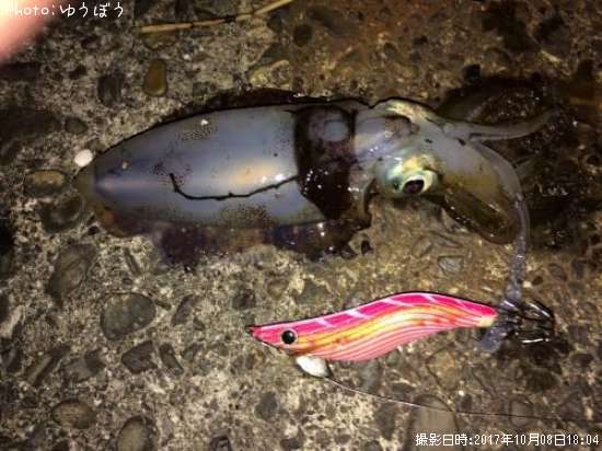 �����ꥤ��