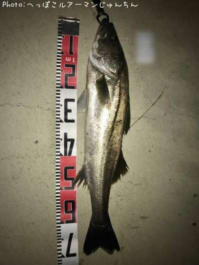 �����Х�