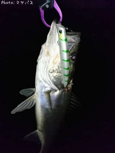 �����Х�