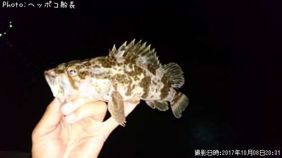 �����Υ���Х�