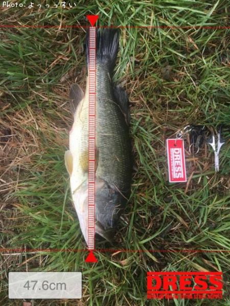 �֥�å��Х�