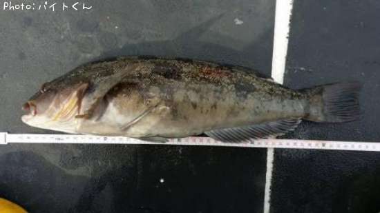 �����ʥ�