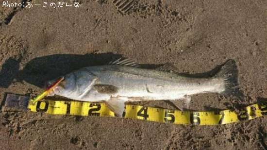 �����Х�