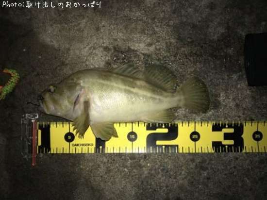 ���ޥ���