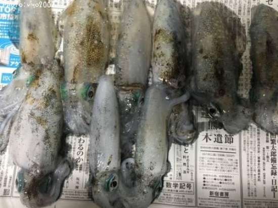 �����ꥤ��