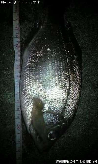 �����ʥ�