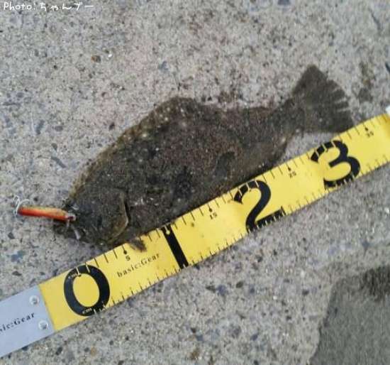 �ҥ��ʤ�����