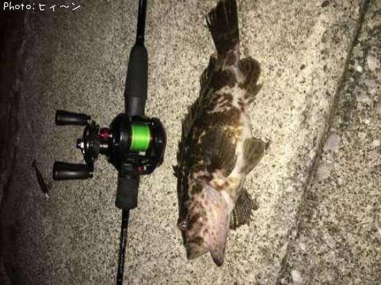 �����Υ���Х�