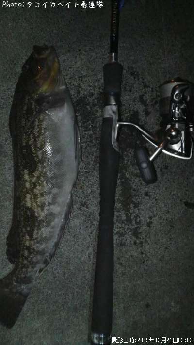 �����ʥ�