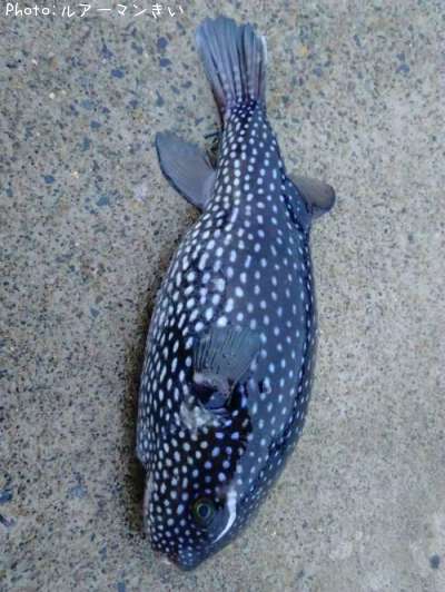 ���ե���