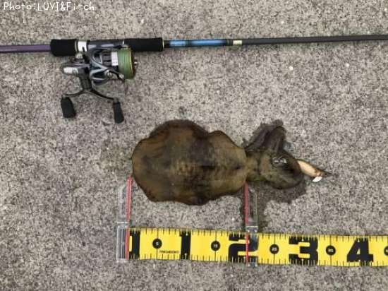 �����ꥤ��