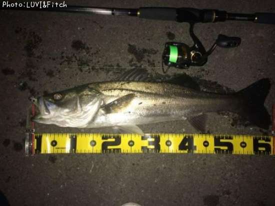 �����Х�