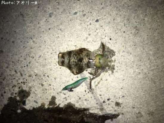 �����ꥤ��