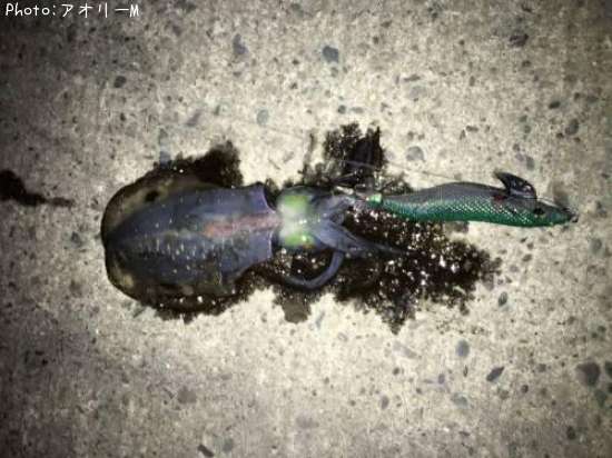 �����ꥤ��