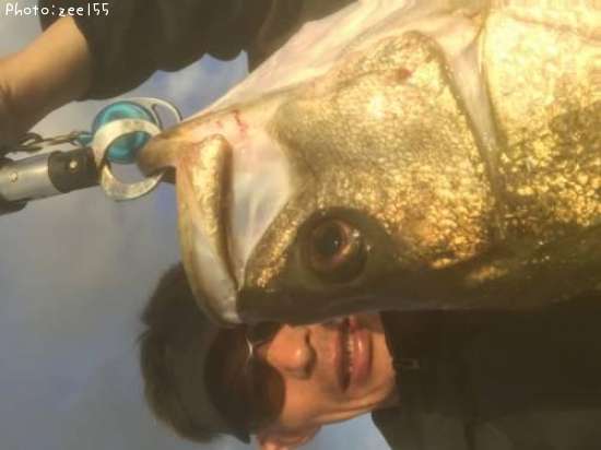 �����Х�