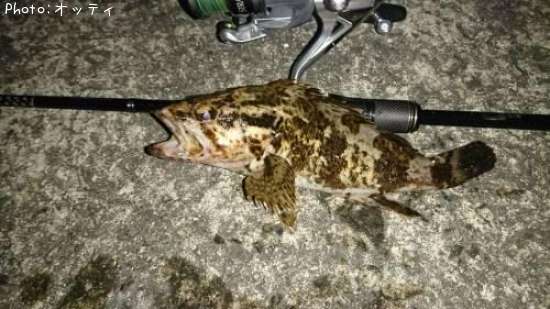 �٥å�������