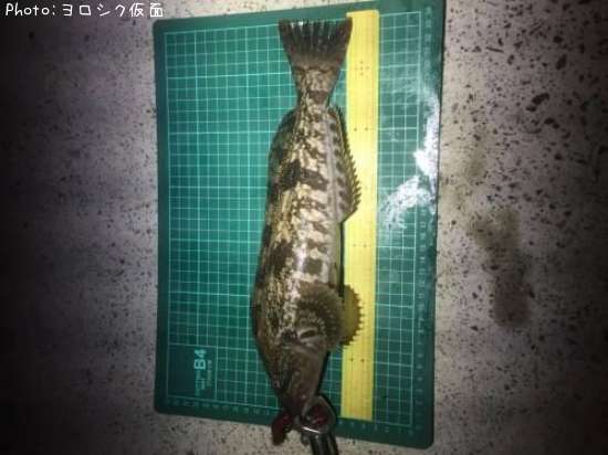 �����ʥ�