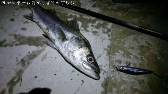 �����Х�