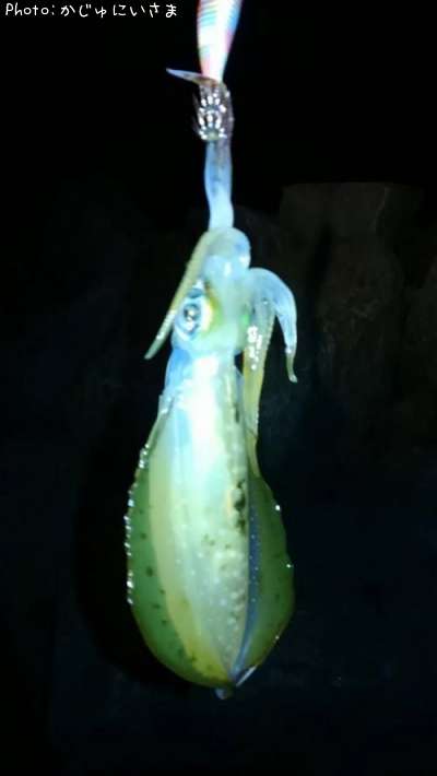 �����ꥤ��