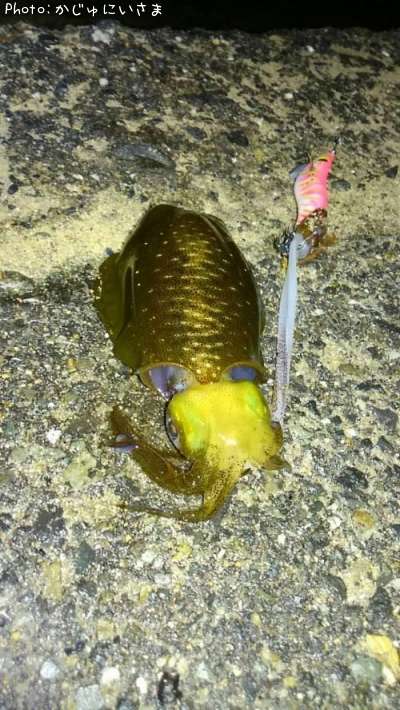 �����ꥤ��