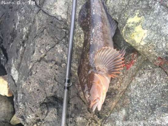 �����ʥ�