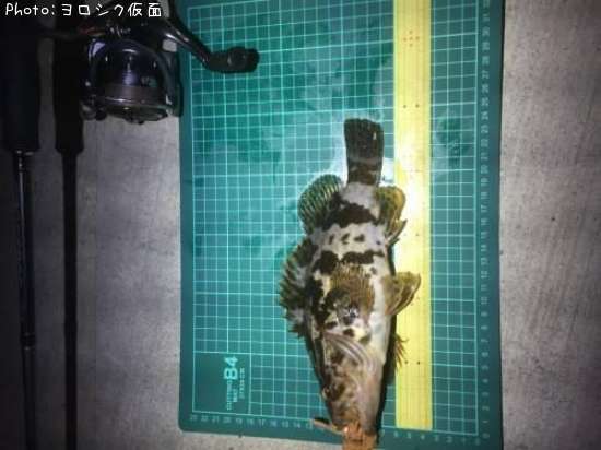 �����Υ���Х�