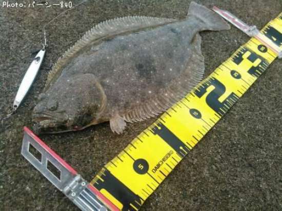 �ҥ��ʥ�����