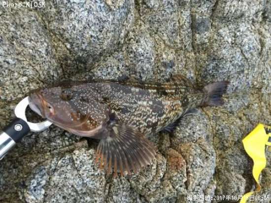 �����ʥ�