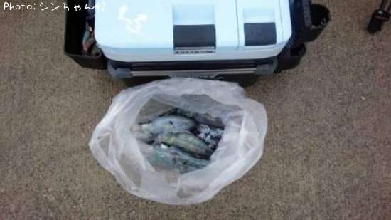 �����ꥤ��