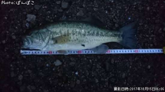 �֥�å��Х�