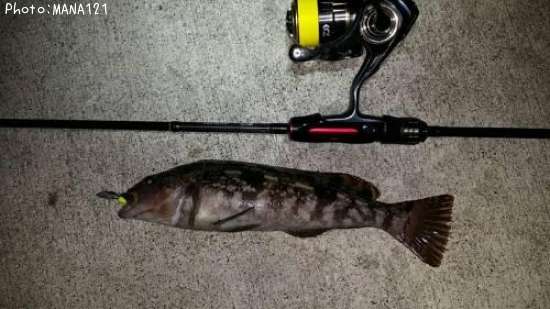 �����ʥ�