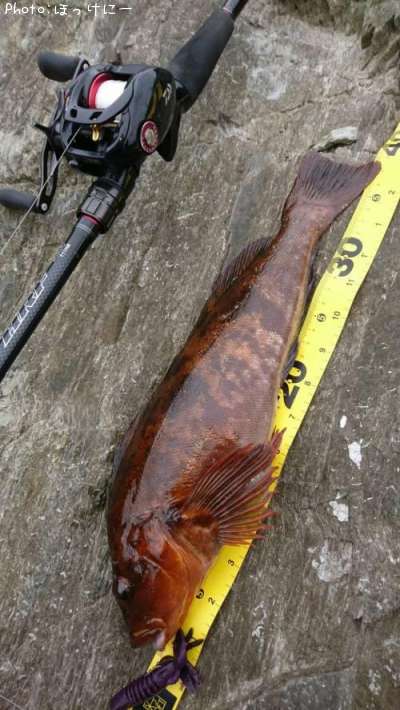 �����ʥ�