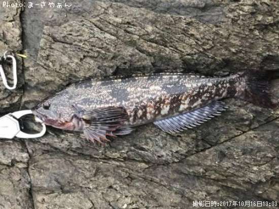 �����ʥ�