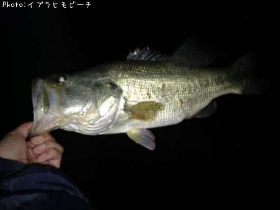 �֥�å��Х�