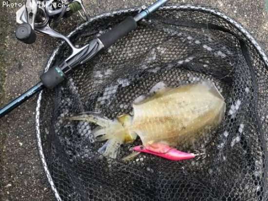 �����ꥤ��