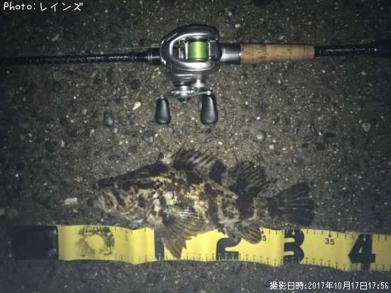 �����Υ���Х�